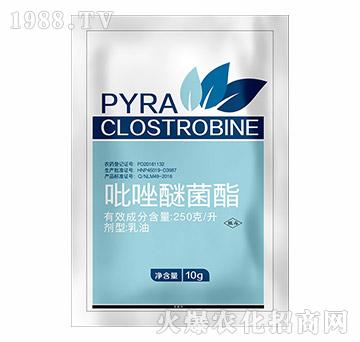 �����Ѿ���-�h(yu��n)Ҋ�r(n��ng)�I(y��)