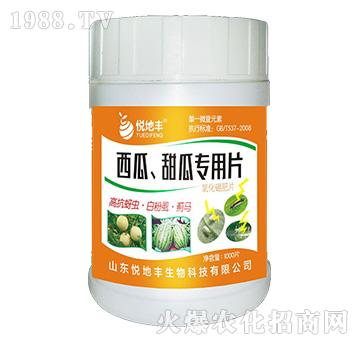 ��������ό���Ƭ��һ��һƬ��-�����S