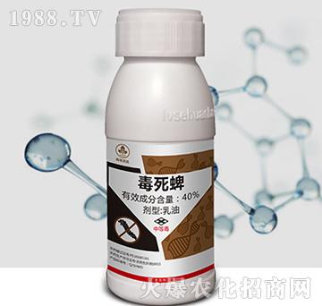 40%������-�к����_(d��)