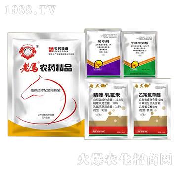 ���݄����b-�����r(n��ng)�I(y��)