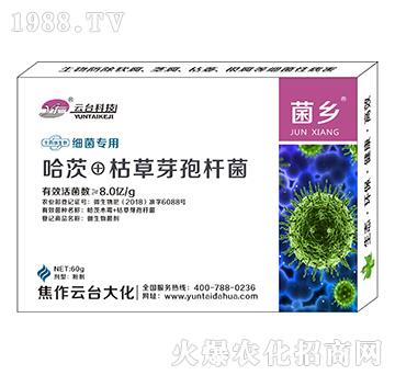 ��(x��)�����þ��l(xi��ng)-���_��