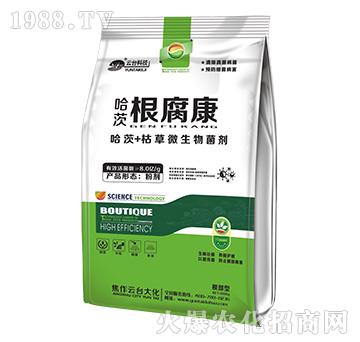 ���ĸ�����-���_(t��i)��