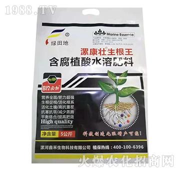 ����ֳ��ˮ�ܷ���-����