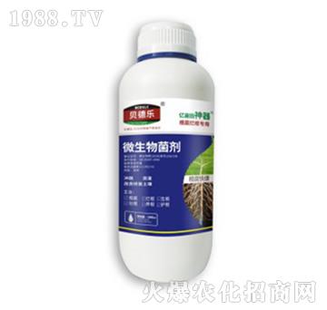 ������������΢�������-�����쿵-ؐ��