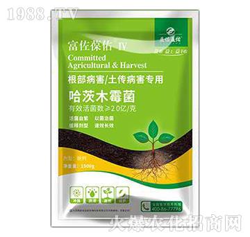 ��������������������-��������-��������