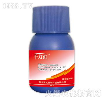 5%��x(ch��ng)��-����ٲ�