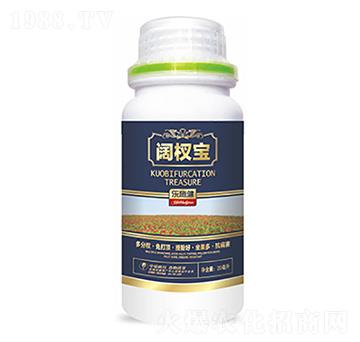 �辌�-�����Ƽ�