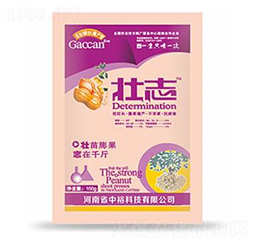 ��־-�����Ƽ�