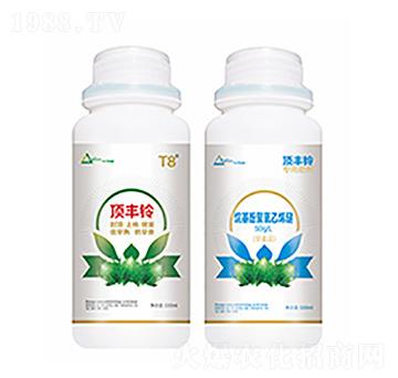 ��S�-�����Ƽ�