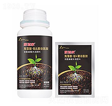 ������-�����Ƽ�