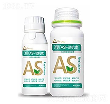 T8��AS-�T����-�����Ƽ�