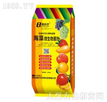 ����΢���������40k