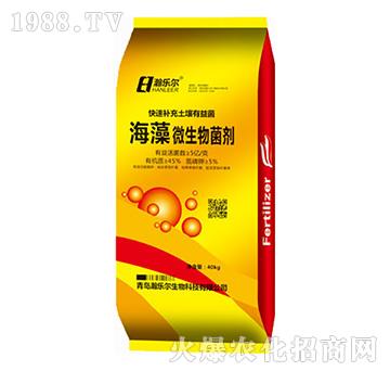 ����΢�������-嫘�(l��)��