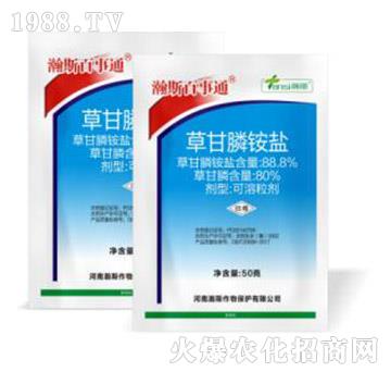 88.8%�ݸ���@�}-�˹����ͨ-�˹����