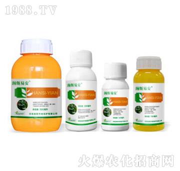 24%���ס�ݬȥ��-�˹�װ�-�˹����