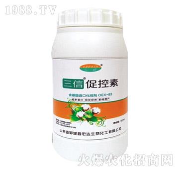 ���Ŵٿ���-���_����