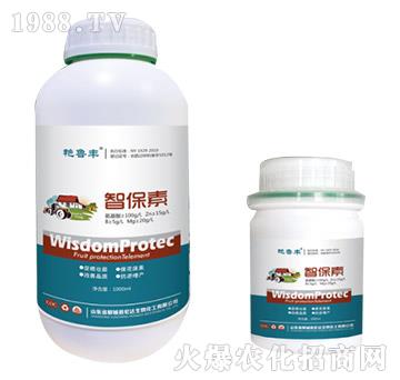 �Ǳ���-�G���S-���_��