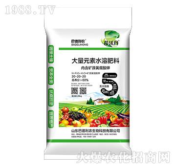 ����Ԫ��ˮ�ܷ���20-20-20-���ֵ�-�͵����r(n��ng)