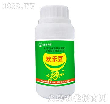 ������݄�-�g����-���