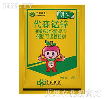 80%��ɭ�i�\-ؐ��-���r(n��ng)(li��n)��