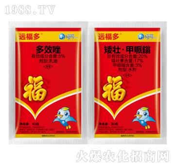 ���������{��(ji��)��-�h����-��������