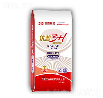 �������19-21-5