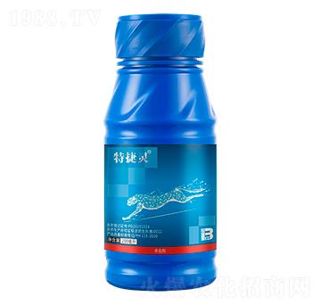 20%�߷��ȡ����x(ch��ng)����500ml��-�ؽ��`-ӯ�x