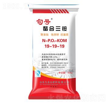 �������@19-19-1