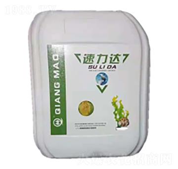 �����_-��΢����