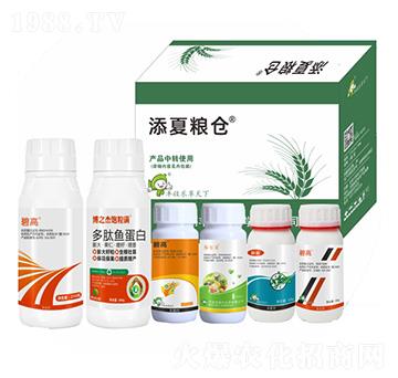 ���ļZ�}��ʮ���أ�-�S�՘�