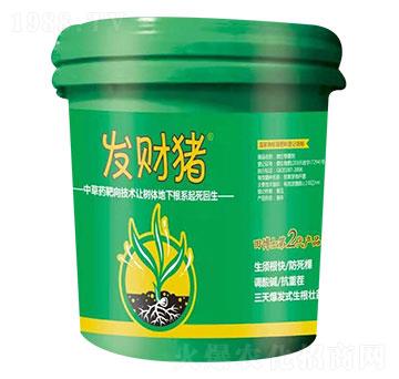 ΢������� �l(f��)ؔ(c��i)�i �ﲩʿ