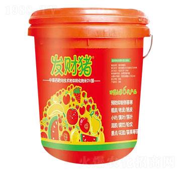 �в�ˎ�����g(sh��)��(sh��)�w�D(zhu��n)��DVĤ �l(f��)ؔ(c��i)�i �ﲩʿ