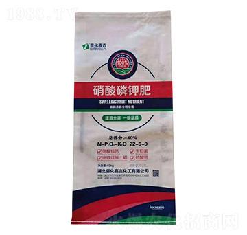 ������⛷�-Ҽ���μ�