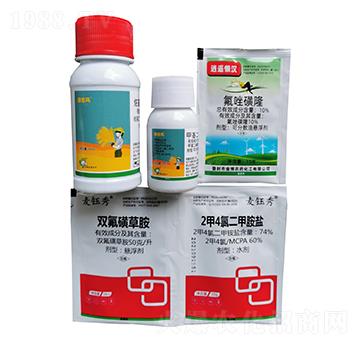 С�����݄��M��-�S�՘�