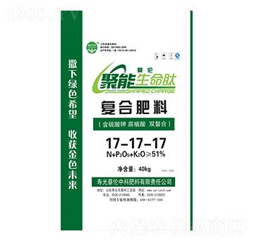 �ͺϷ���17-17-1