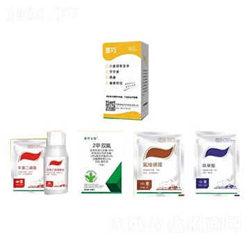 С�����ȫ���M�����b-����-�����_(d��)