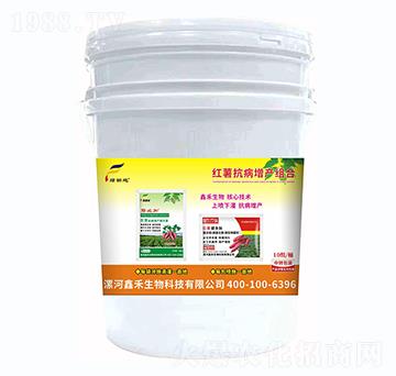 �t���������a(ch��n)�M��-�G��