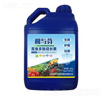 ���x���Ĵ��L(zh��ng)��-���cѿ-��������