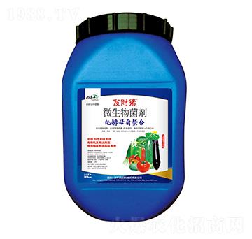 ΢���������-����ĸ�����ϣ�-�l(f��)ؔ(c��i)�i-�ﲩʿ