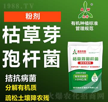 �ݲ�ѿ�ߗU��-�W�S