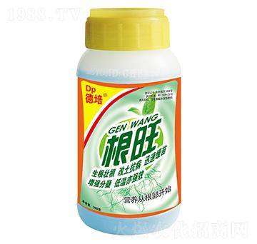 300g�������-���(y��ng)