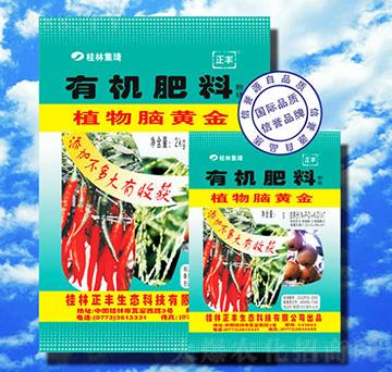 �ЙC(j��)����-ֲ���X�S��-���S���B(t��i)