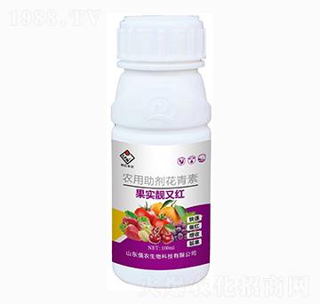 �����n�ּt-���r