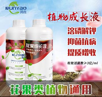 ֲ����L(zh��ng)Һ-��(r��n)��