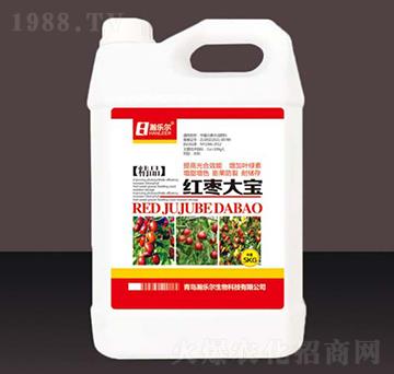 �t����-嫘�(l��)��