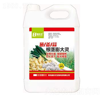 �[������o����`-嫘�(l��)