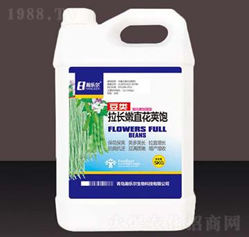 ������L(zh��ng)��ֱ���v�-�