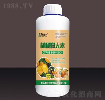 ���������-嫘�(l��)��