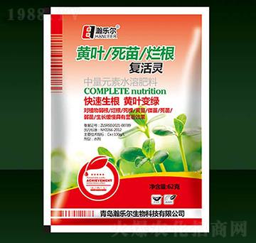 �S�~���砀����(f��)���`-�