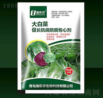 ��ײ˴��L(zh��ng)������������